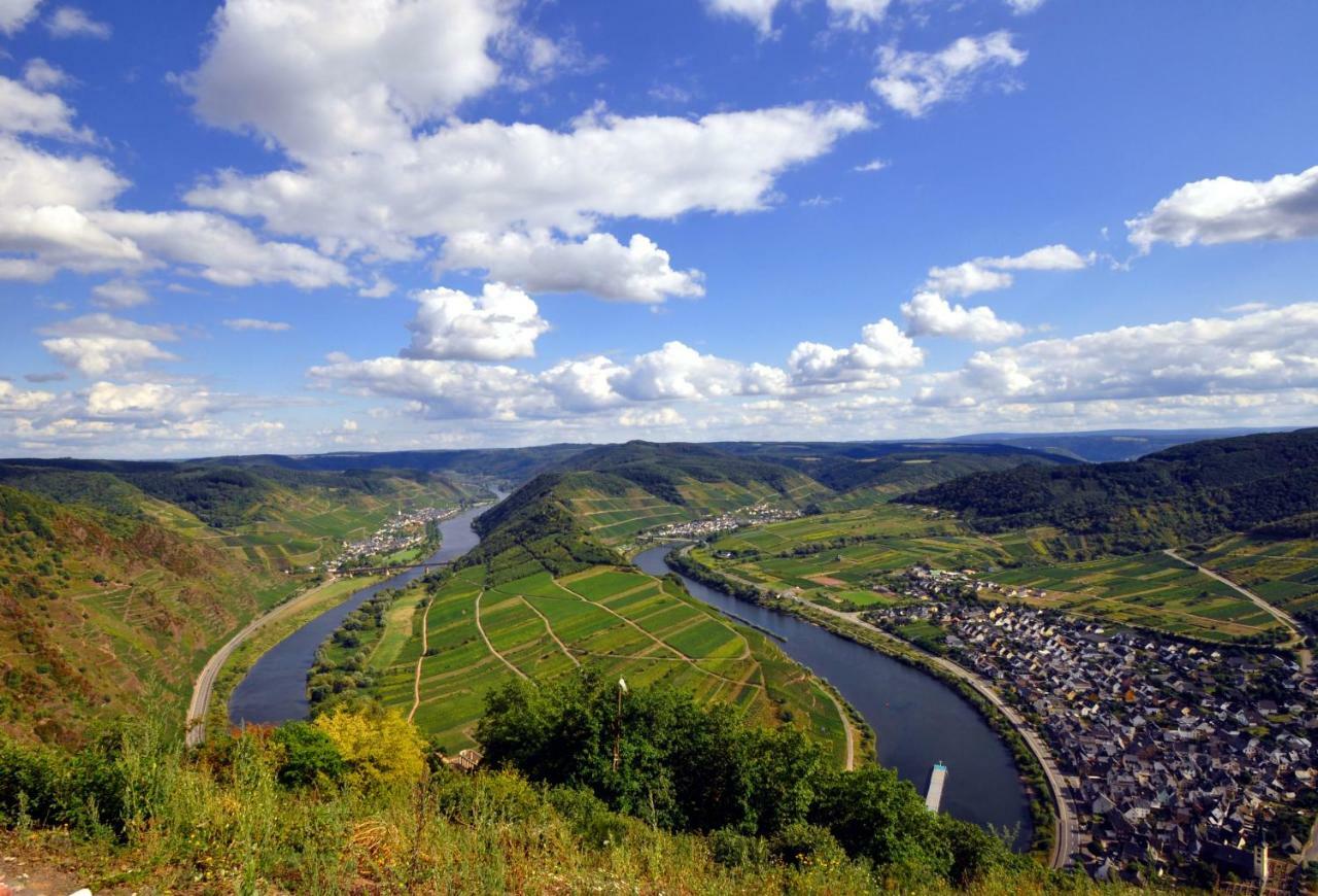 Erich Bremm Mit Moselblick