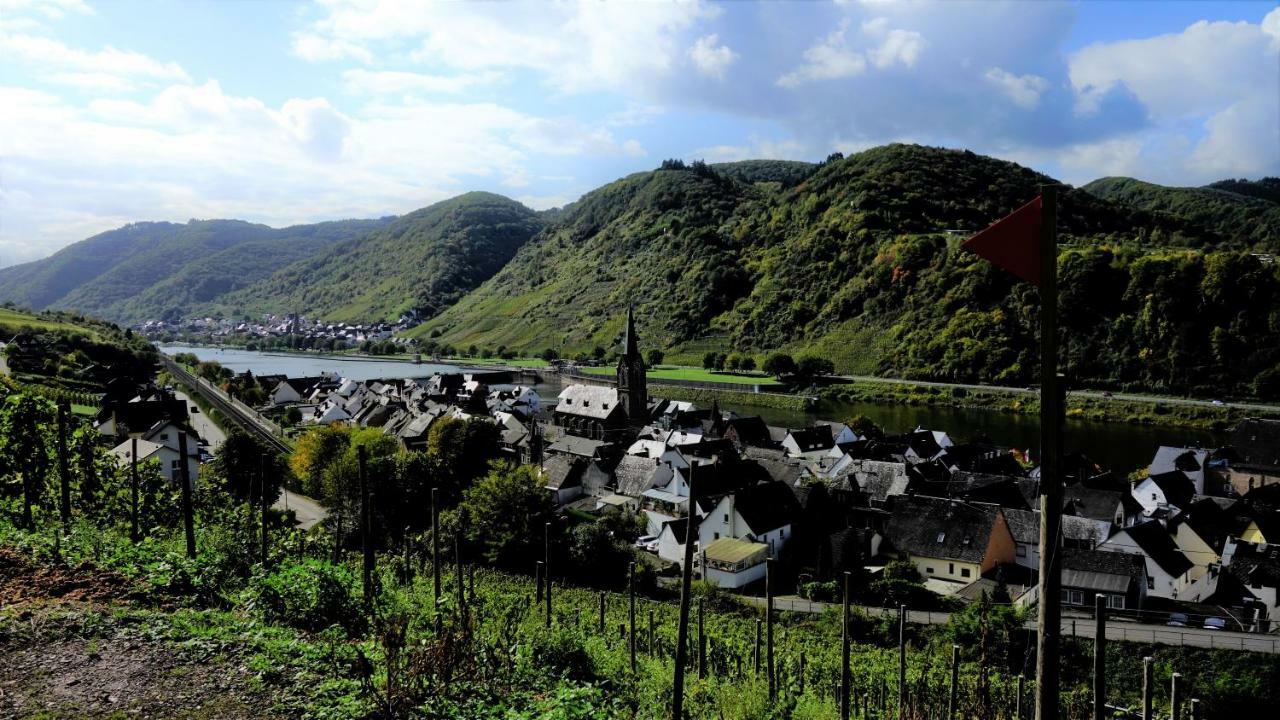 Holiday home Erich Bremm Mit Moselblick Neef